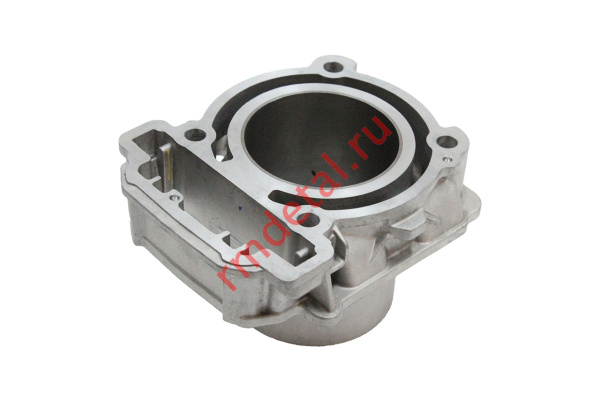 1007516  Цилиндр 21170100201