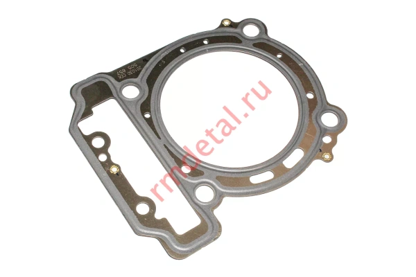 0120359  Прокладка головки цилиндра 21040100101