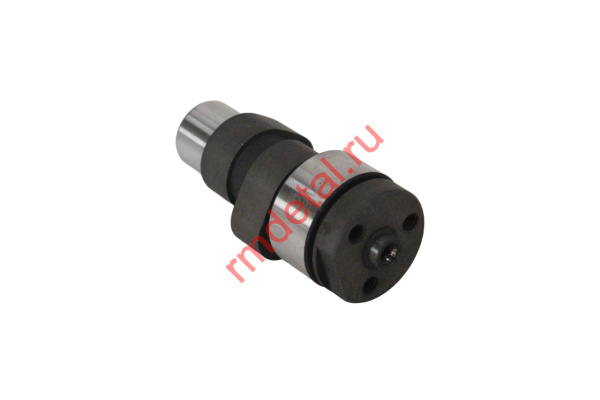 1007422  Распредвал 21050101301