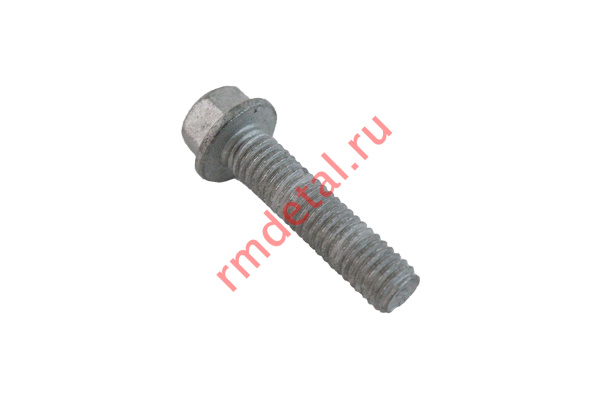 0122302  Болт М6х25 01224060251