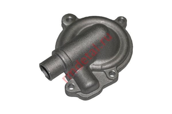 0120468  Корпус водяного насоса 21040114201