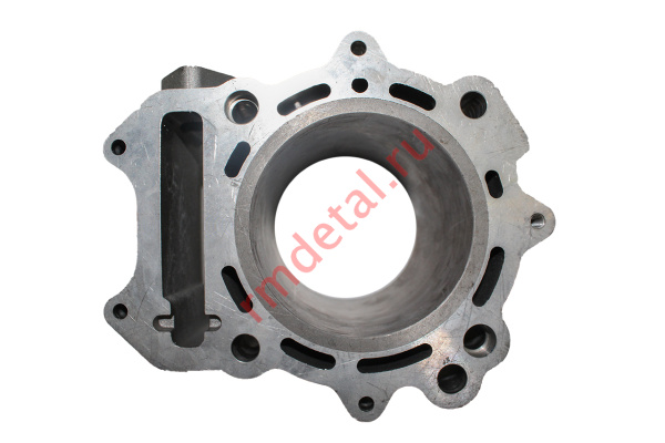 0085791  Цилиндр 12100-REA-000