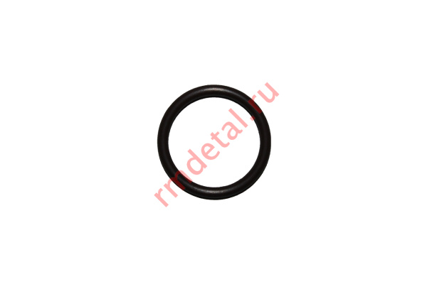 0120373  Кольцо уплотнительное 21040102501