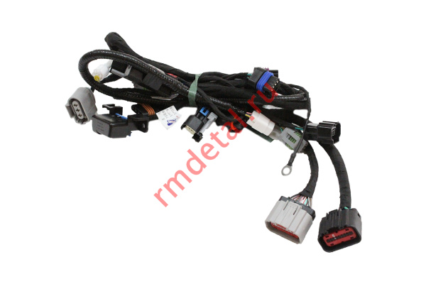 1007171  Жгут проводов двигателя 17009410000