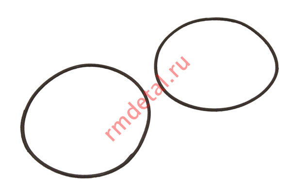 0117425  Кольцо C40500039 (2 шт.)
