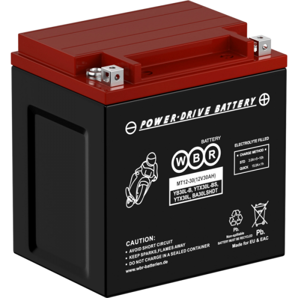 1007868  Аккумулятор MT12-30 WBR