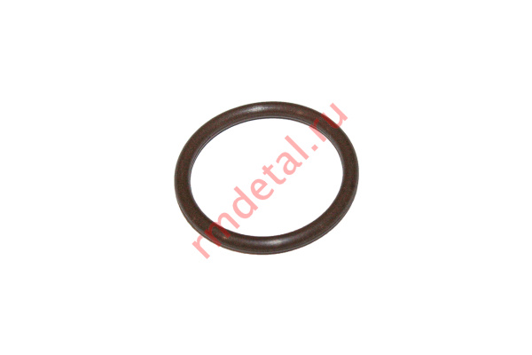 0122376  Кольцо уплотнительное 21040111101