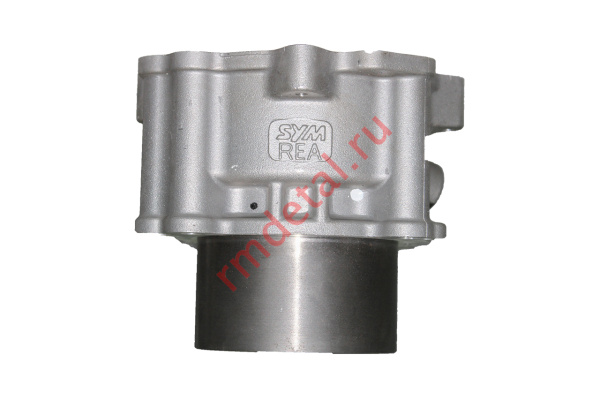 0085791  Цилиндр 12100-REA-000