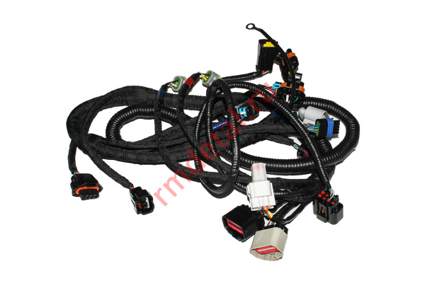 0127931  Электрожгут двигателя 10009410000