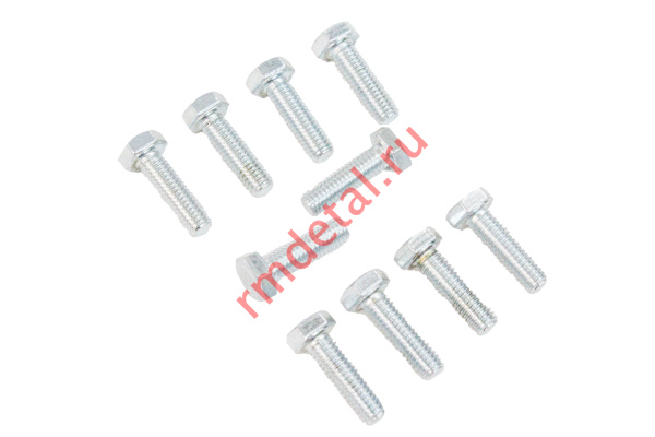 0123824  Болт М6х20 DIN 933-88Р (10 шт)