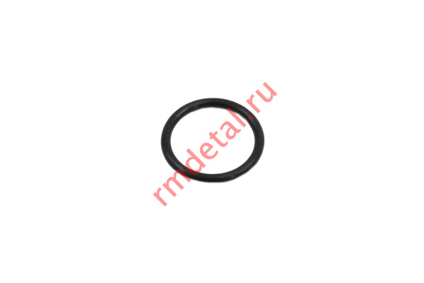 0120378  Пробка резьбовая 21040500601