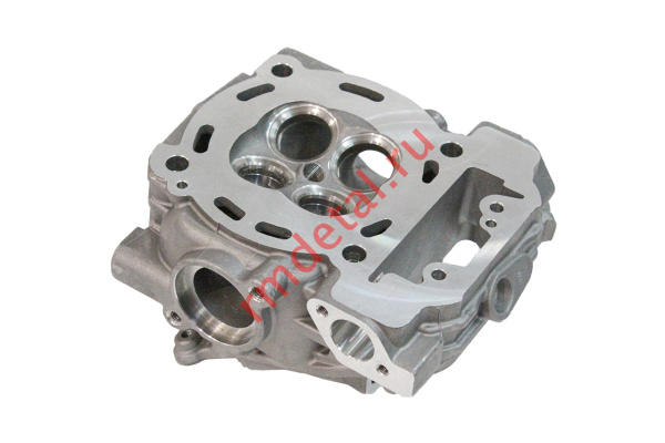 0120387  Головка заднего цилиндра 22040100301