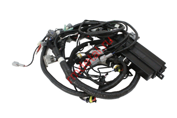 1007686  Жгут основной 17009020042