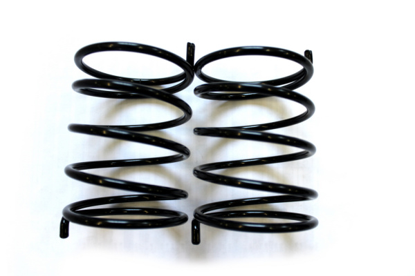 0095694  Пружины C40600518 (2 шт)