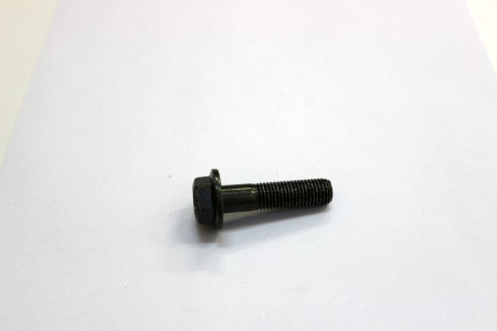 Болт М10х1,25х50