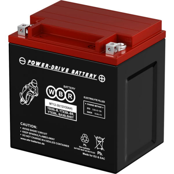 1007868  Аккумулятор MT12-30 WBR