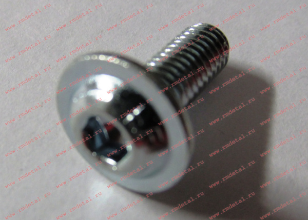 0083241  Винт М6х16 LI-FL10P