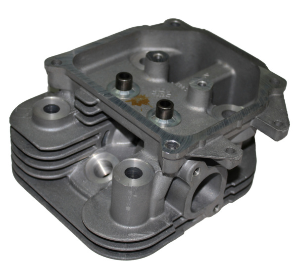 0119079  Головка цилиндра 24 318 156-S