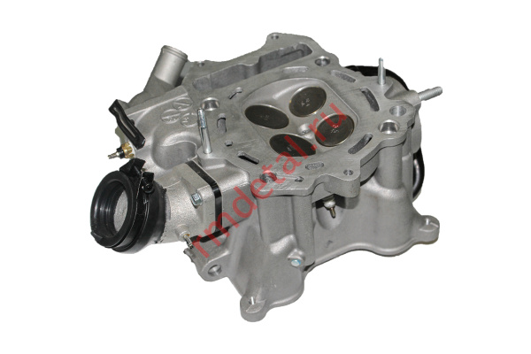 0101813  Головка цилиндра в сборе 1220A-REA-000