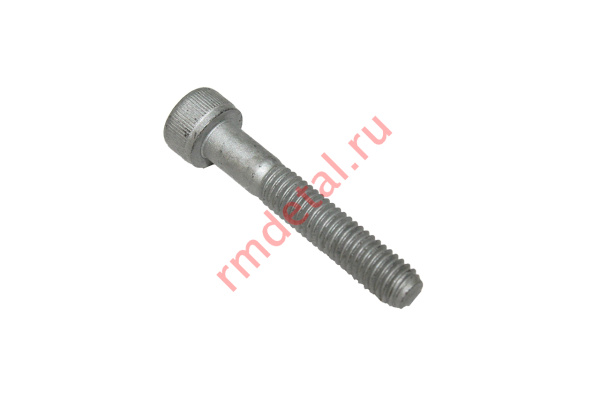 0106139  Винт 0080-0021