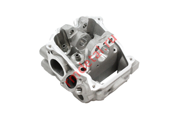 0140997  Корпус головки циллиндра 21050100201