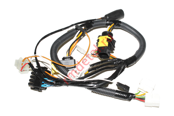 0095720  Жгут основной L11100220