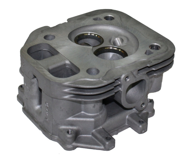 0119079  Головка цилиндра 24 318 156-S