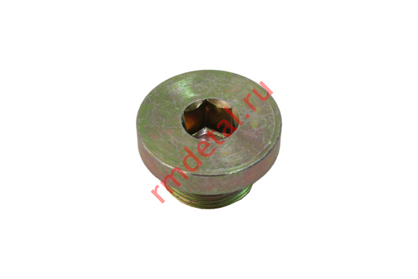 0122375  Пробка резьбовая М22х1,5 21040110801