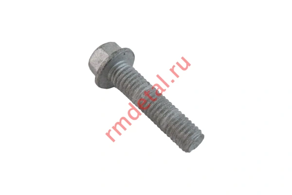 0122302  Болт М6х25 01224060251