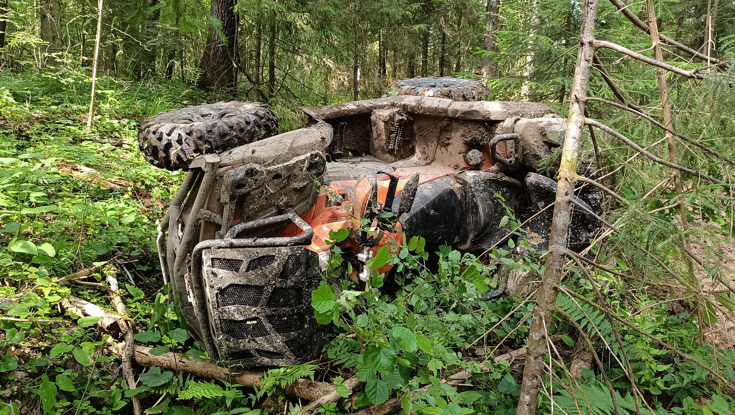 Квадропутешествие Рыбинск – Углич – Тархов Холм
