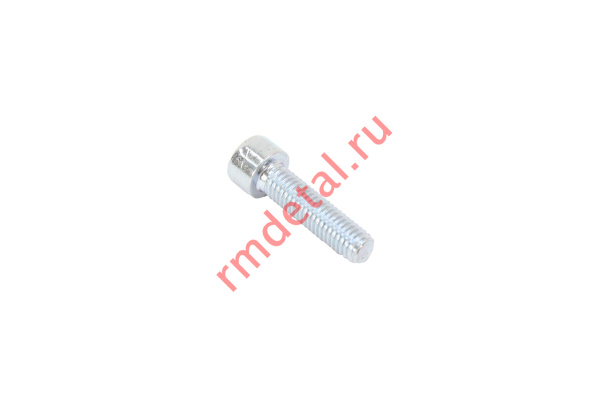 0133905  Винт с цилиндрической головкой и шестигранным углублением под ключ ГОСТ Р ИСО 4762- M8х30-8.8-А2К