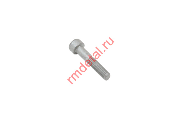 0136960  Винт M6x30 03344060301