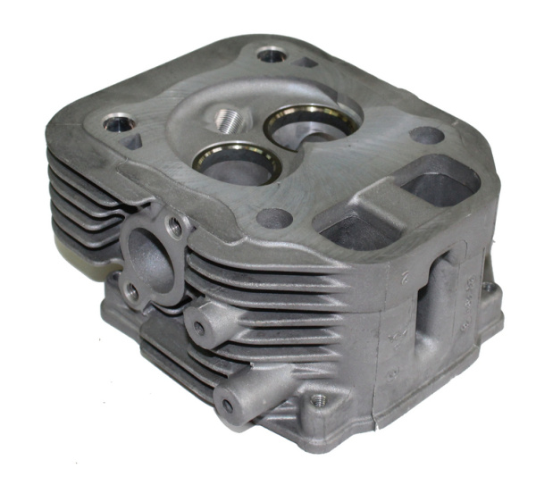 0119079  Головка цилиндра 24 318 156-S