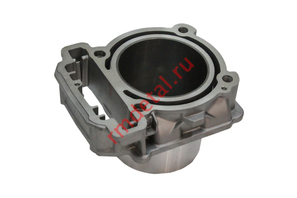 0120422  Цилиндр 21040109001