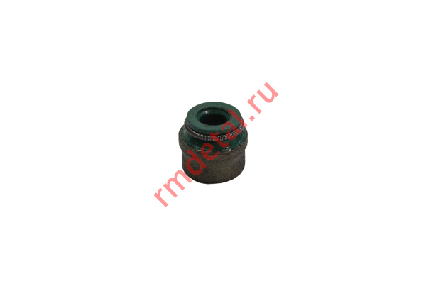 0134899  Колпачок маслосъемный 21040500101